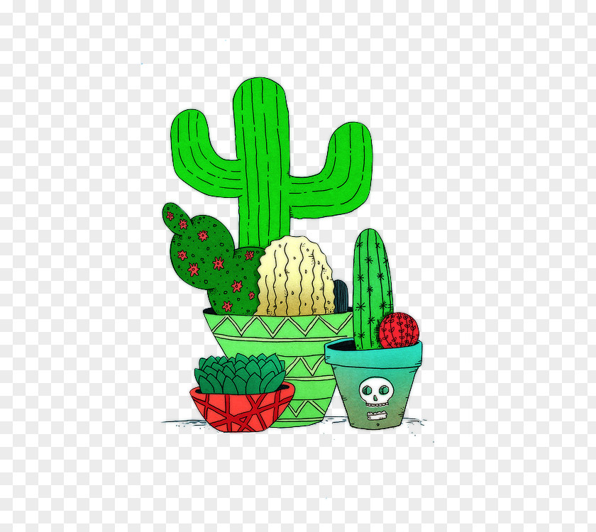 Plant Desert Botanical Garden Cactaceae Succulent Drawing Cactus Y Suculentas PNG