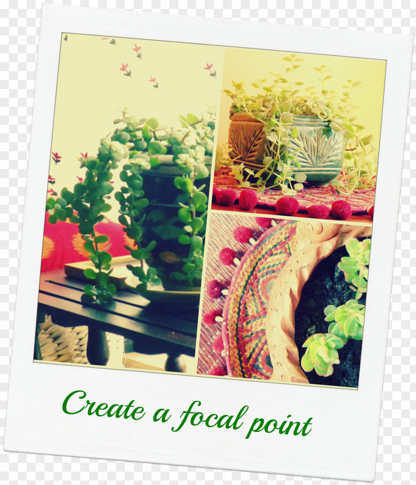 Design Floral Greeting & Note Cards Picture Frames Font PNG