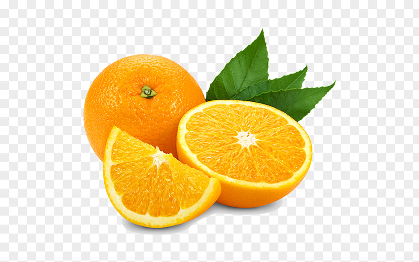 Orange Juice Mayorazgo Export S.L. Citrus × Sinensis Oil PNG
