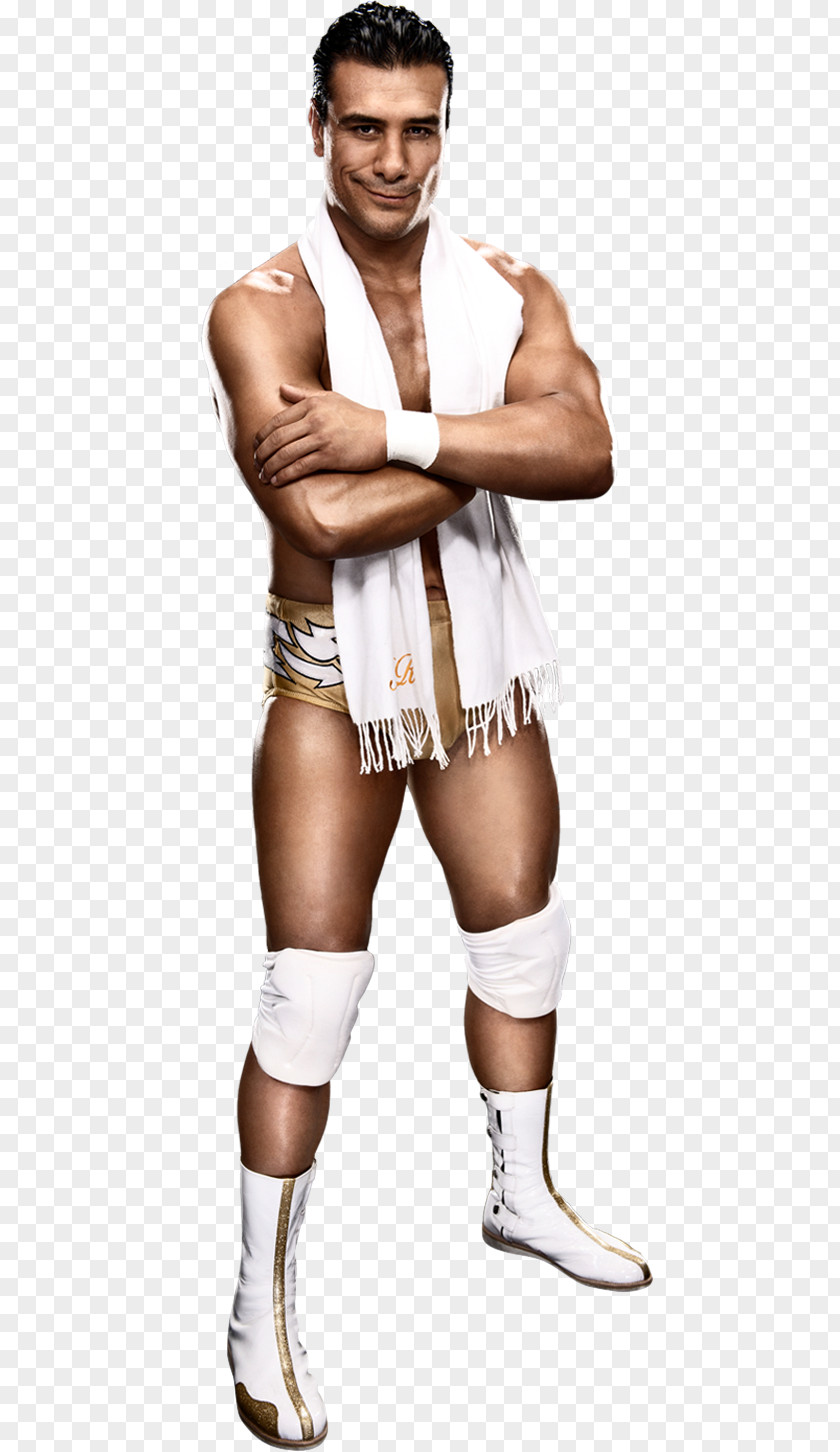 Alberto Del Rio World Heavyweight Championship WWE Superstars Royal Rumble (2011) PNG (2011), wwe clipart PNG