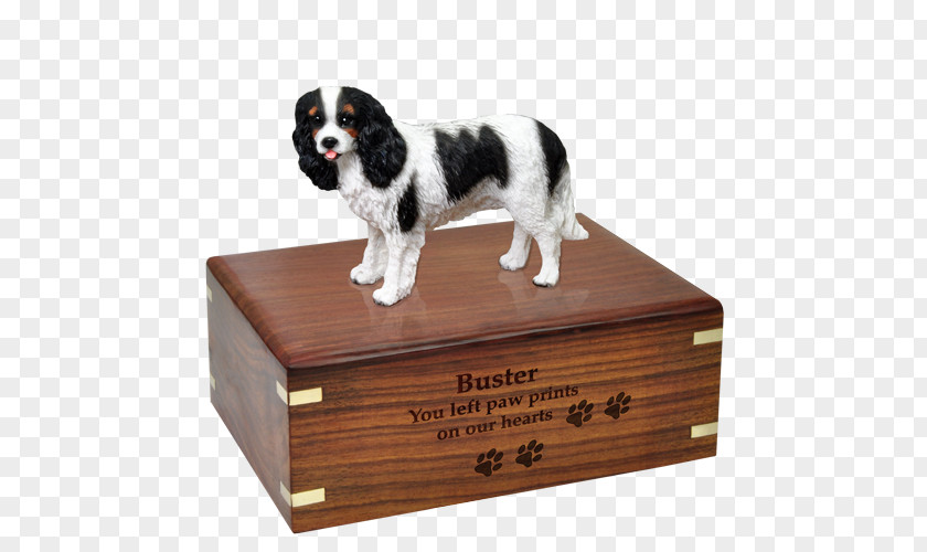 Cavalier King Charles Spaniel Puggle Border Collie Australian Shepherd Poodle PNG