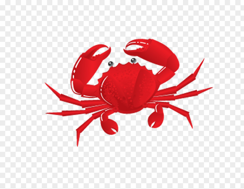 Crab Chilli Clip Art Vector Graphics 4th Annual United Way Feast PNG