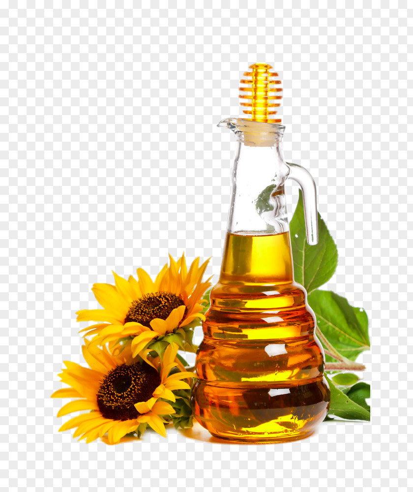 Olive Oil Import Sunflower Cooking Vegetable Expeller Pressing PNG