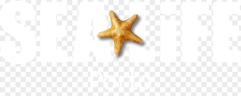 Starfish Body Jewellery PNG