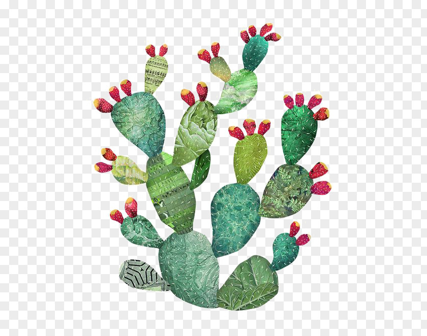 Watercolor Cactus Cactaceae Painting Art Illustration PNG
