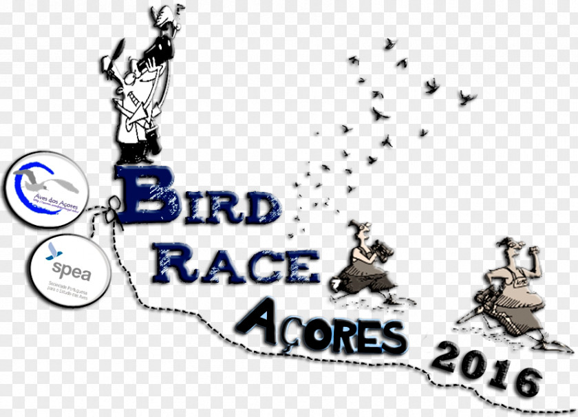 Bird Birdrace Flores Island Big Year PNG