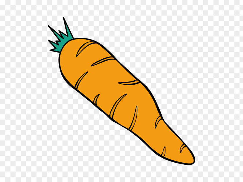 Carrot Drawing Clip Art PNG