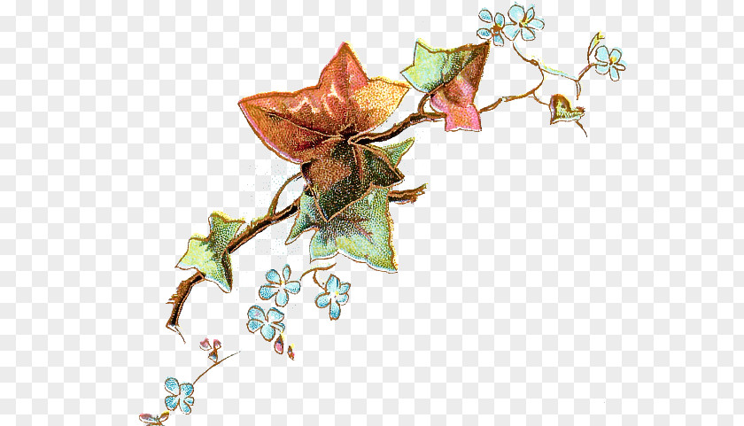Origami Ivy PNG