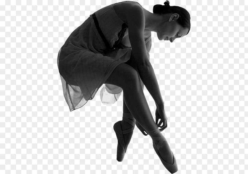 Ballet Dance Blog PNG
