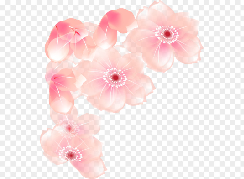 Flower Floral Design Cut Flowers Blossom Petal PNG