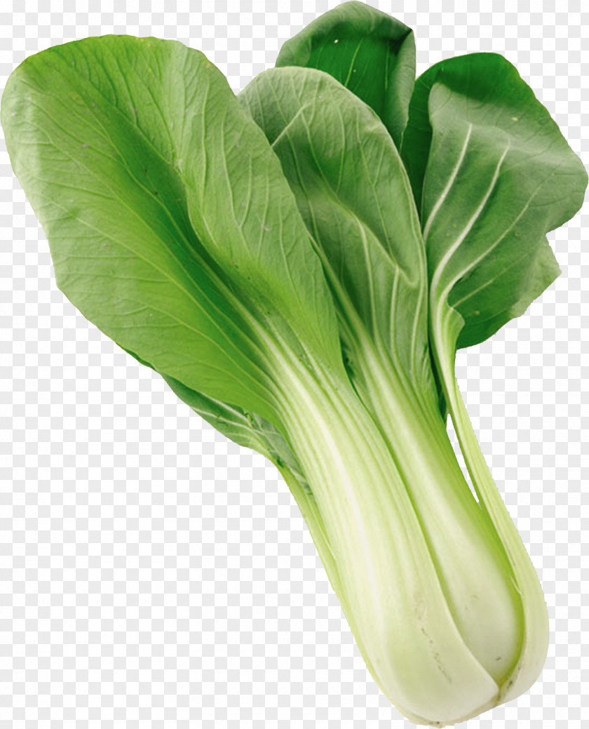 Fresh Vegetables Napa Cabbage Rapeseed Choy Sum Vegetable Chinese PNG
