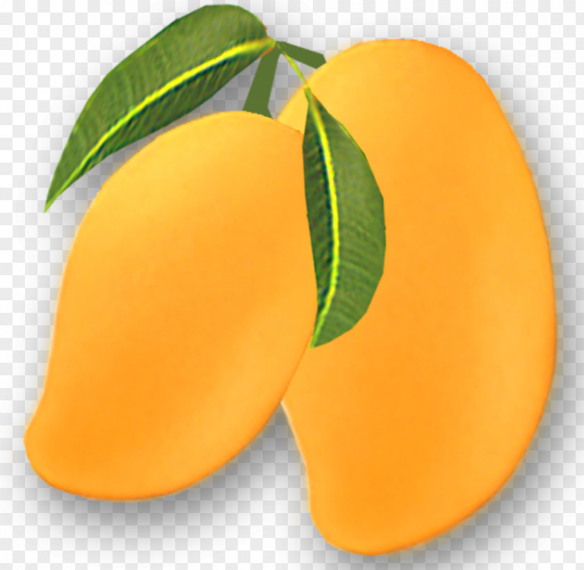 Mango Clip Art Image Desktop Wallpaper PNG