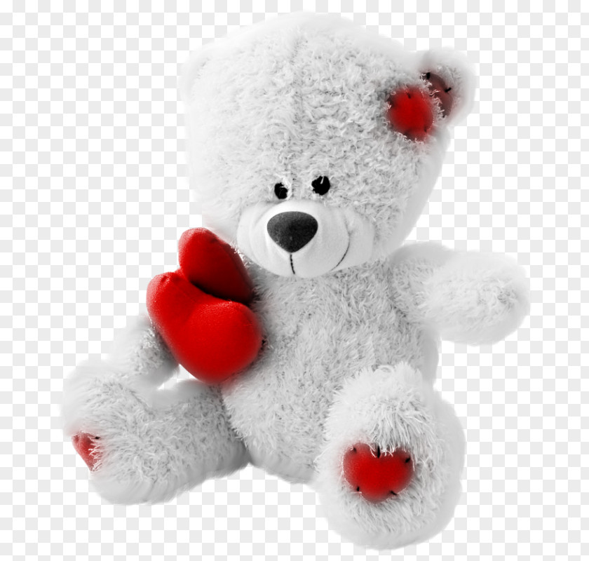 Teddy Bear Valentine's Day Greeting & Note Cards Desktop PNG bear , clipart PNG