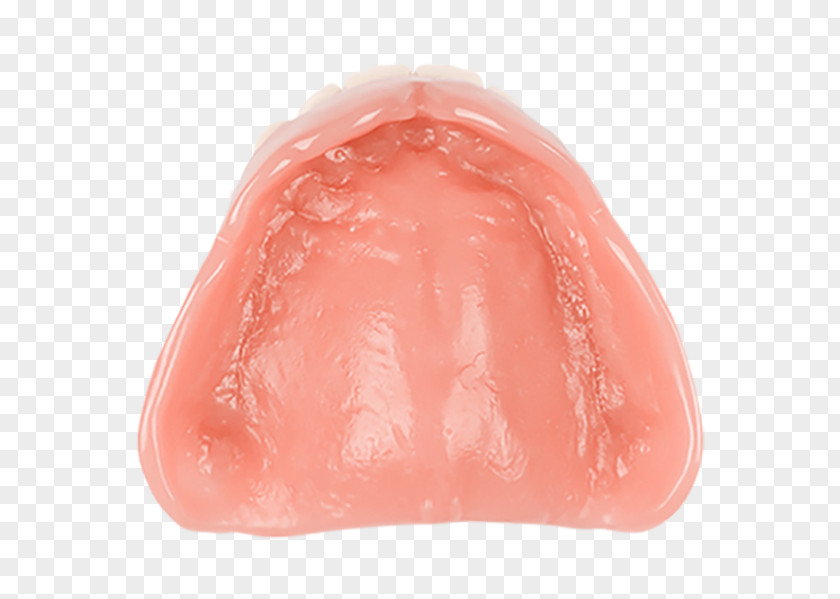 Acrylic Fiber Aspen Dental Dentures Dentistry Lip PNG