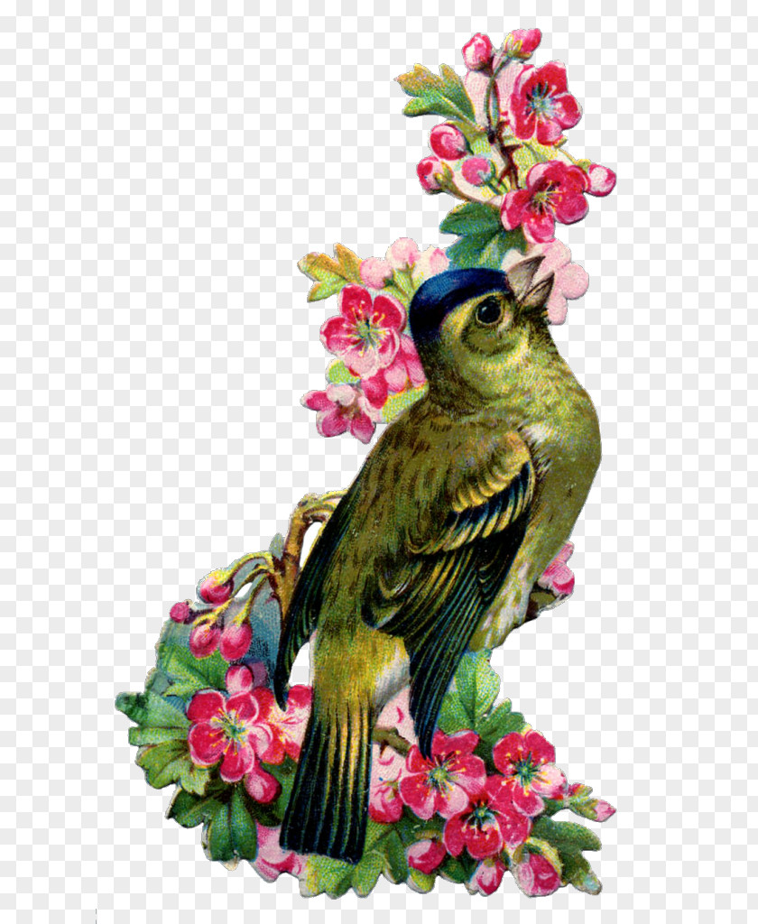 Bird Swallow Vintage Clothing Flower Feather PNG