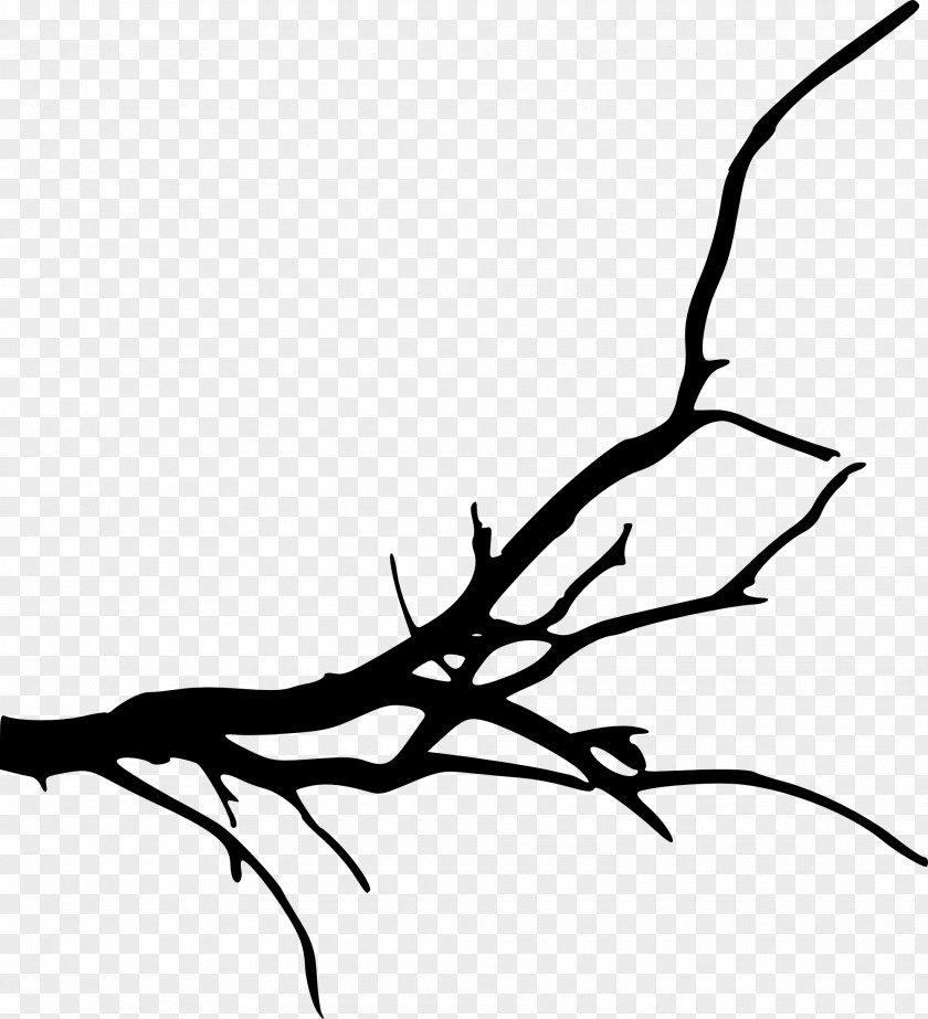 Branch Tree Silhouette Clip Art PNG