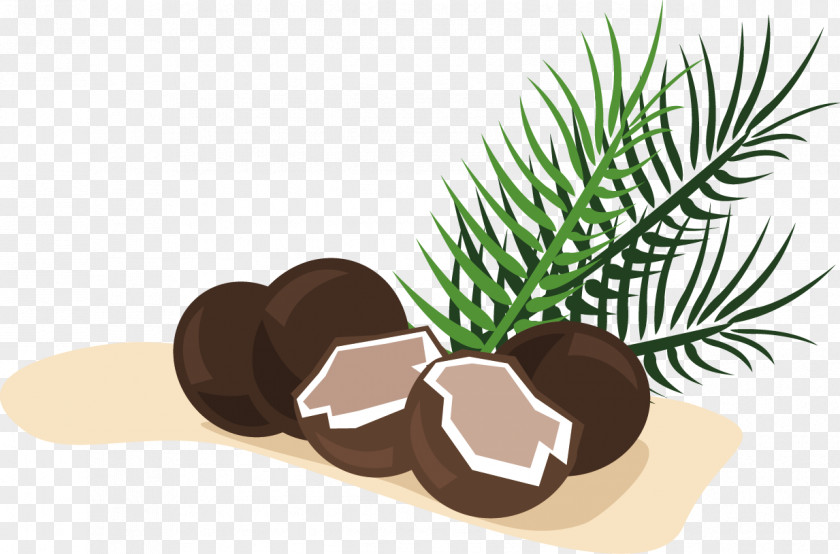 Coconut Clip Art PNG