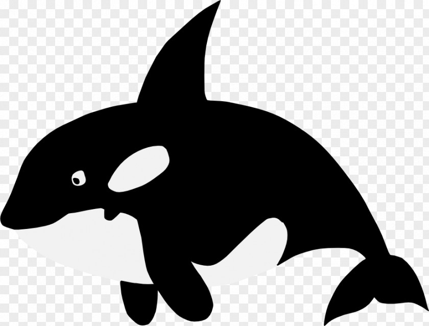 Dolphin Baby Whale Killer Cetaceans Clip Art PNG