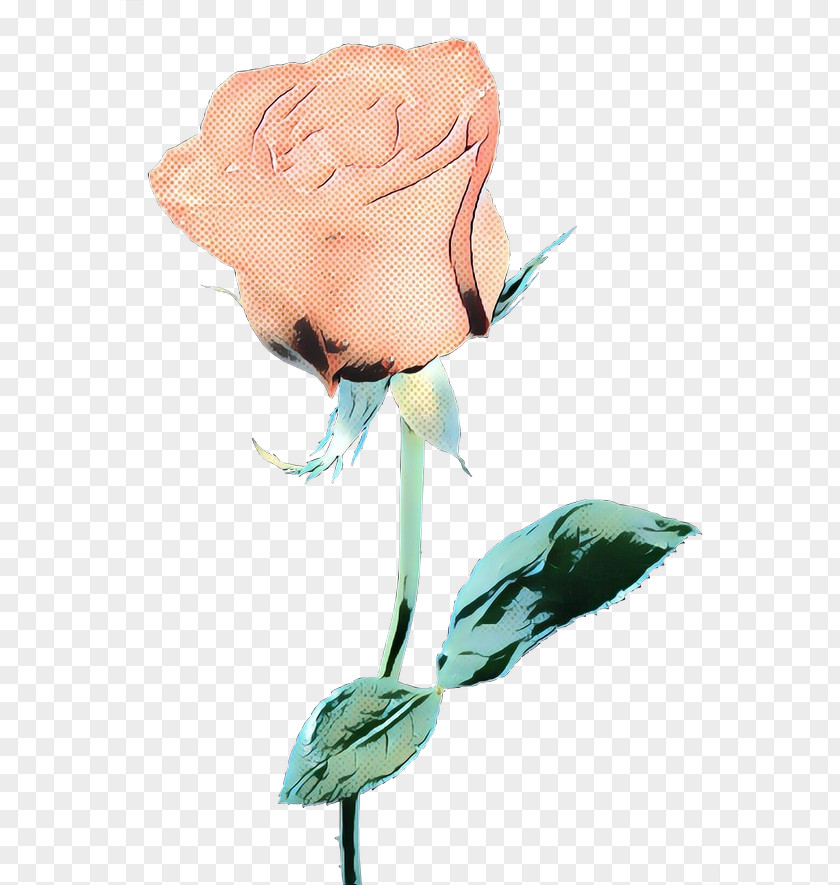 Hybrid Tea Rose Order Pink Flower Cartoon PNG