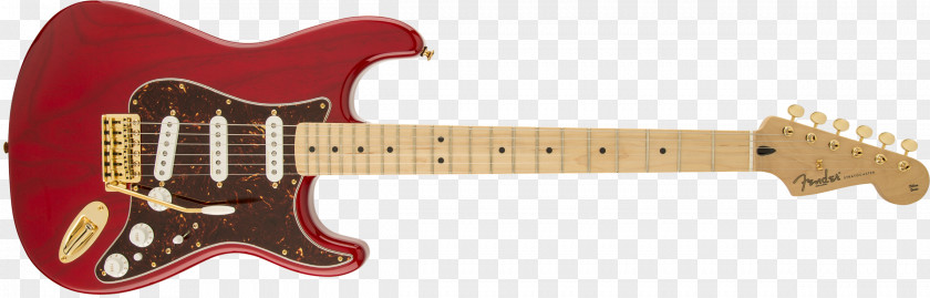Musical Instruments Fender Stratocaster Squier Corporation Standard PNG