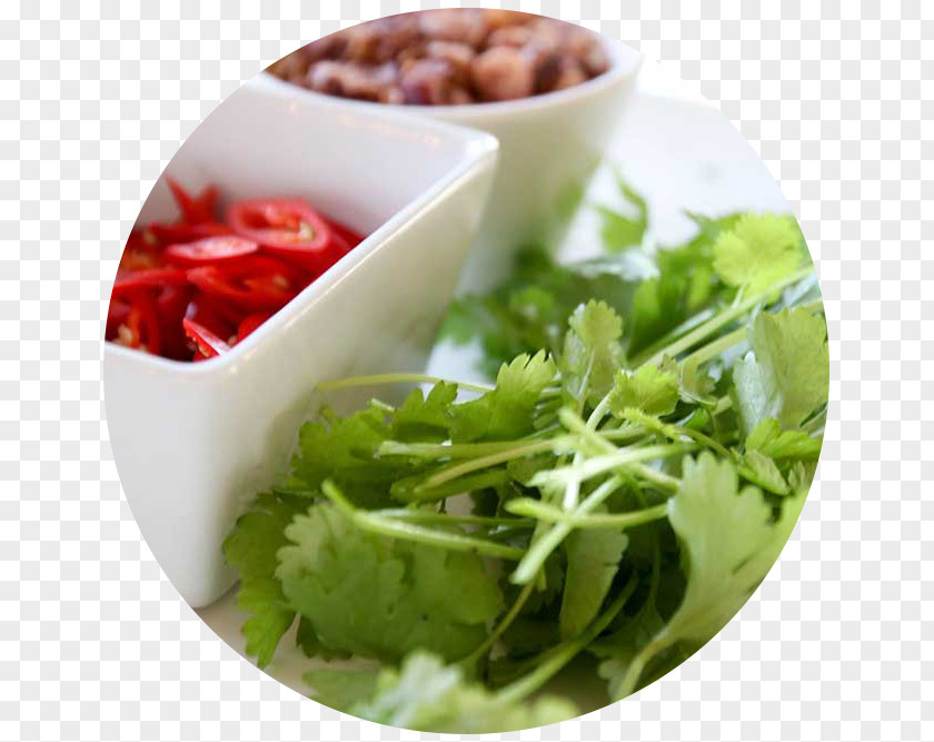 Salad Vegetarian Cuisine Recipe Food Chantelle PNG