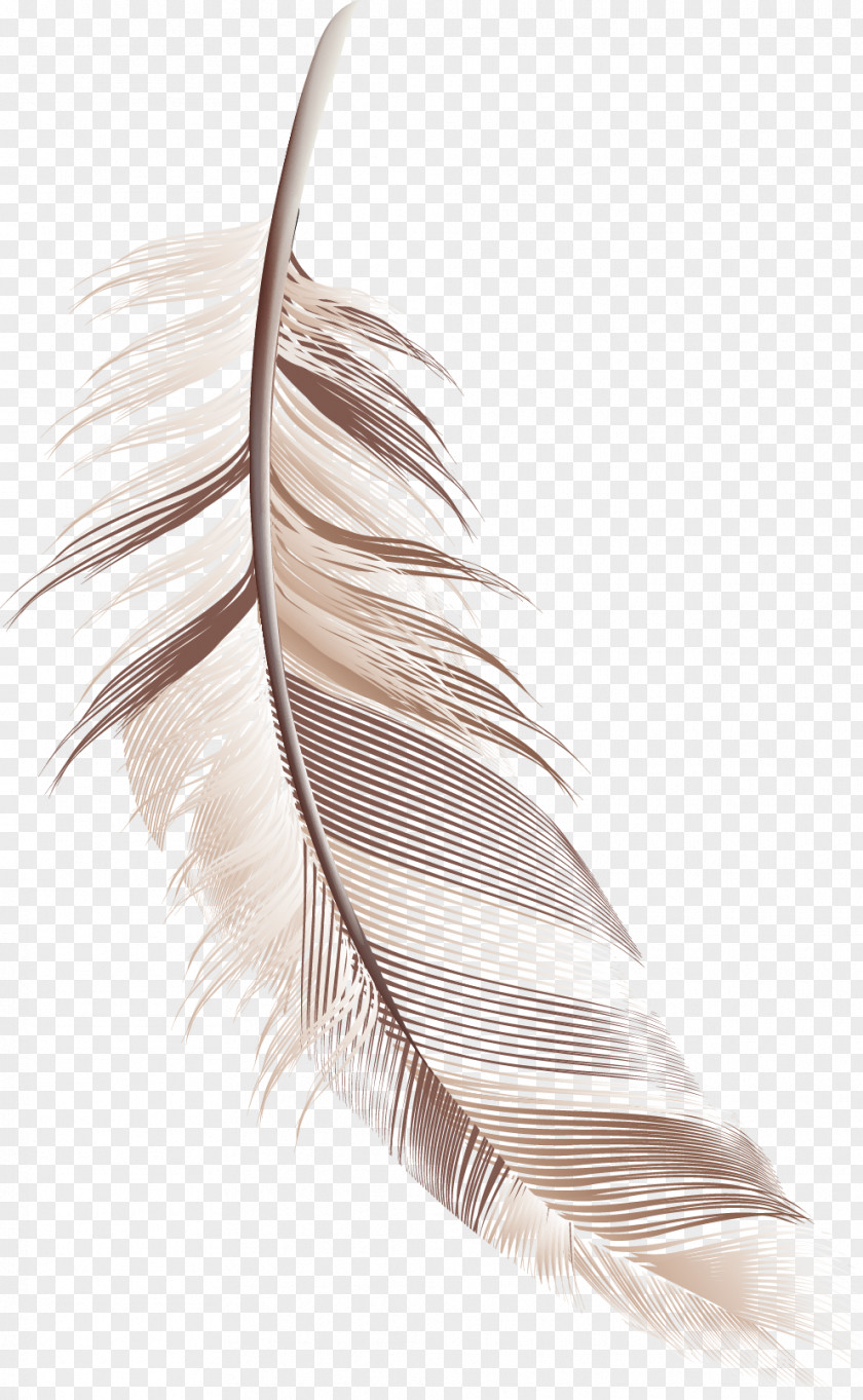 Cartoon Feather Material PNG