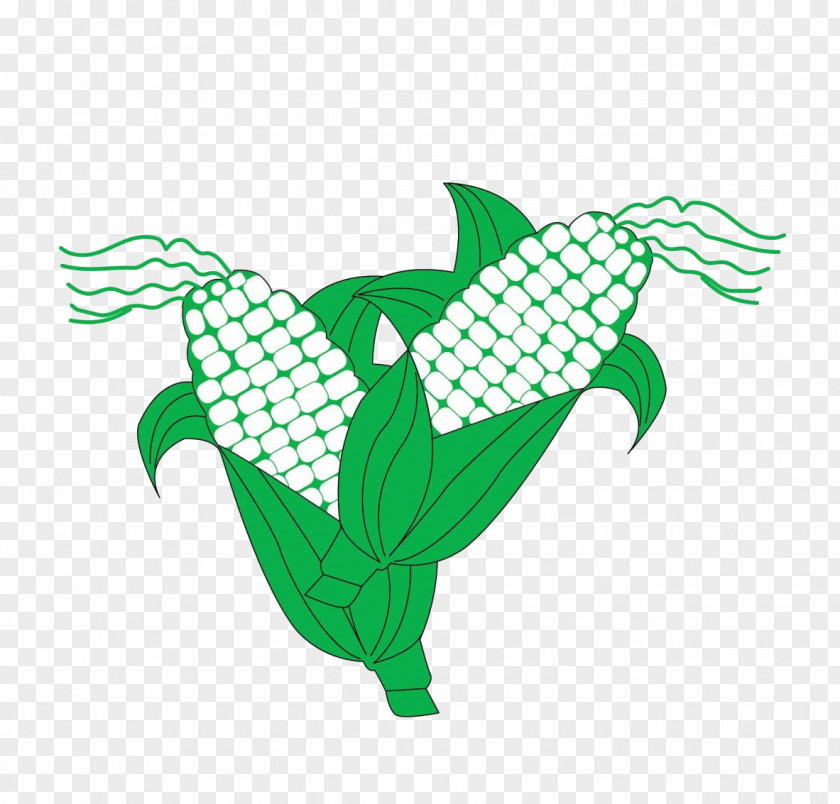 Corn Maize Leaf Illustration PNG