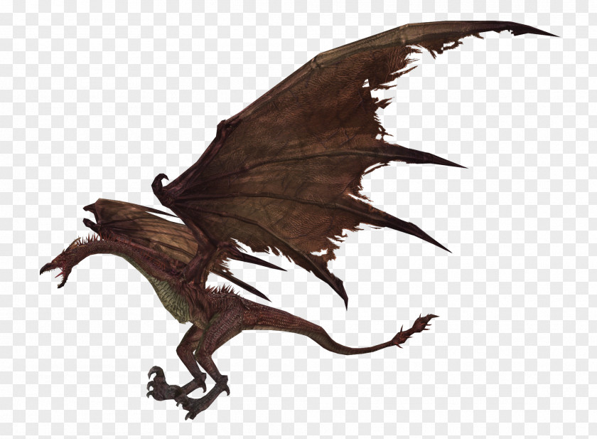 Dragon Wyvern Dell XPS Dark Souls II PNG