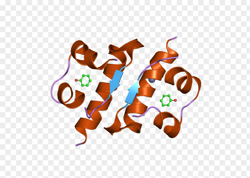 Insulin Crystal Structure Beta Cell PNG