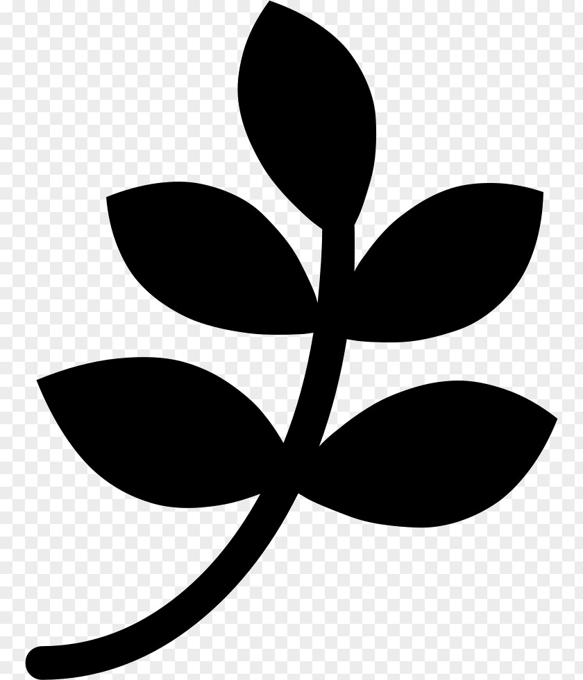 Leaf PNG