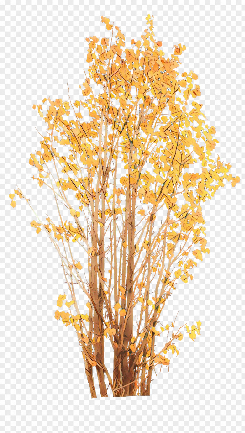 Birch Flower Tree Yellow Branch Plant Woody PNG