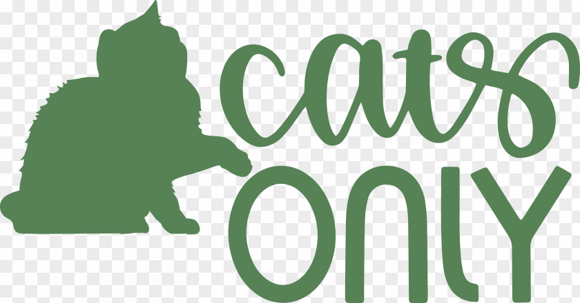 Cats Only Cat PNG