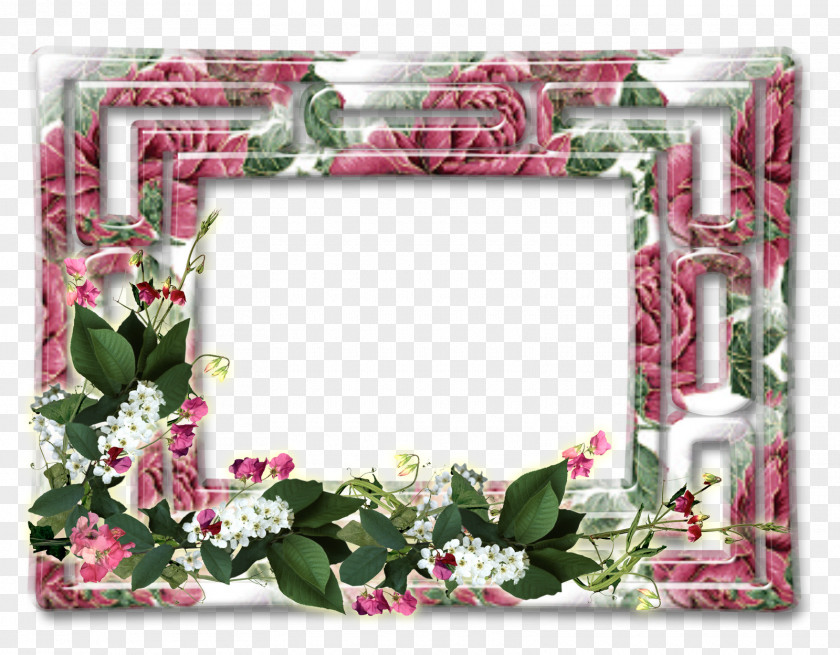 Flower Picture Frames Photography PNG