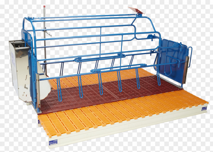 Pig Domestic Gestation Crate Farming PNG