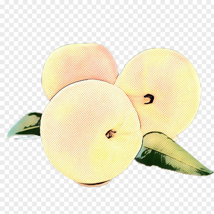 Plant Yellow Retro Background PNG
