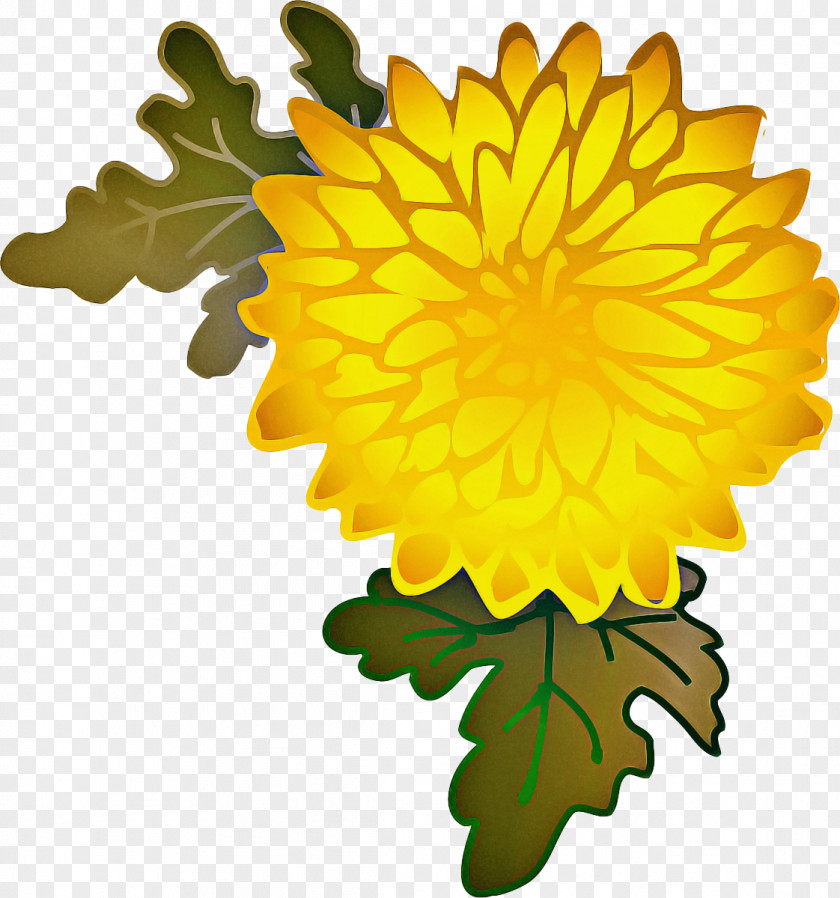 Sunflower English Marigold Pot Leaf Cartoon PNG