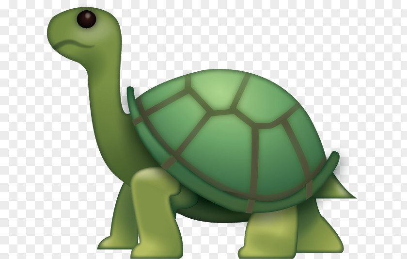Turtle Teenage Mutant Ninja Turtles Emoji IPhone PNG