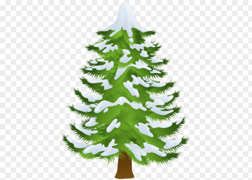 Winter Trees Cliparts Pine Tree Fir Clip Art PNG