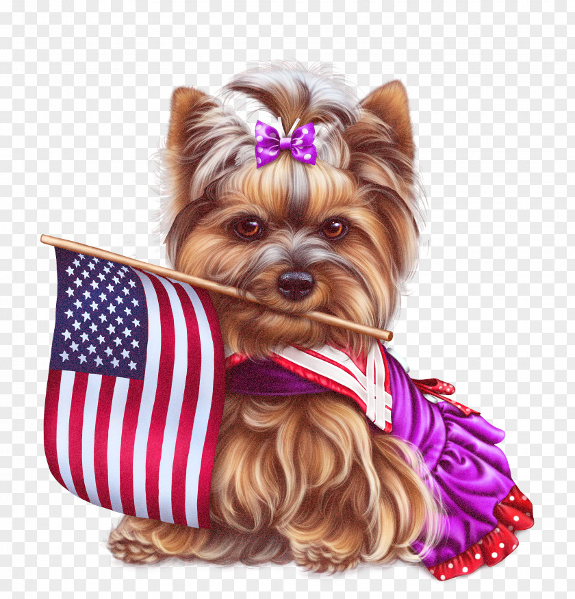 Yorkshire Terrier Silky Puppy Snout Companion Dog PNG