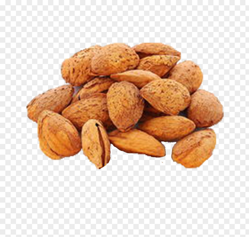 Almond Butter Sweet Shell Apricot Kernel Food Peel Candied Fruit PNG