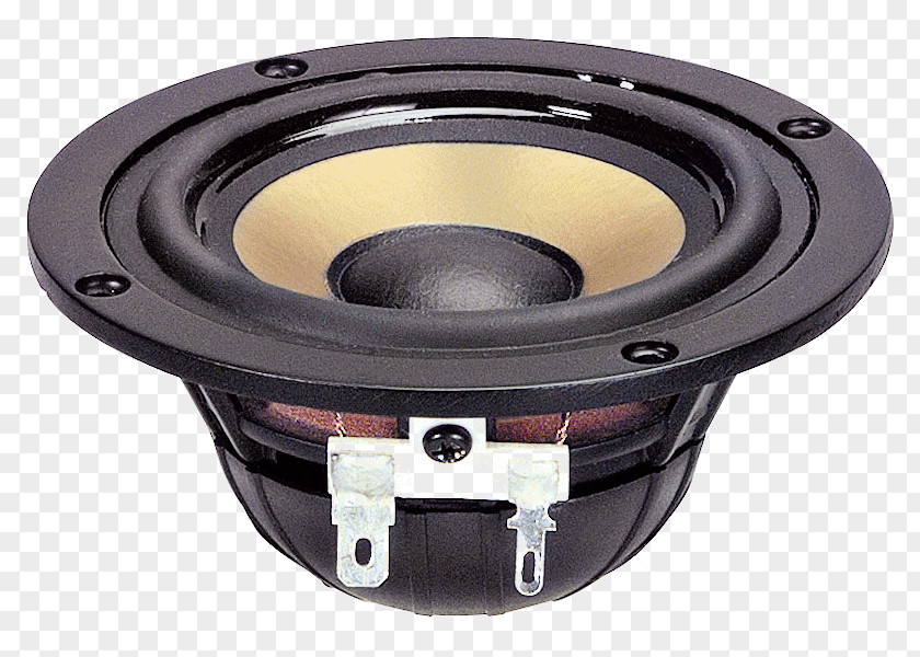 Hypex Full-range Speaker Loudspeaker Sound Musical Ensemble PNG