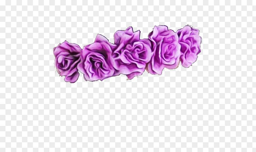 Lilac Plant Rose PNG