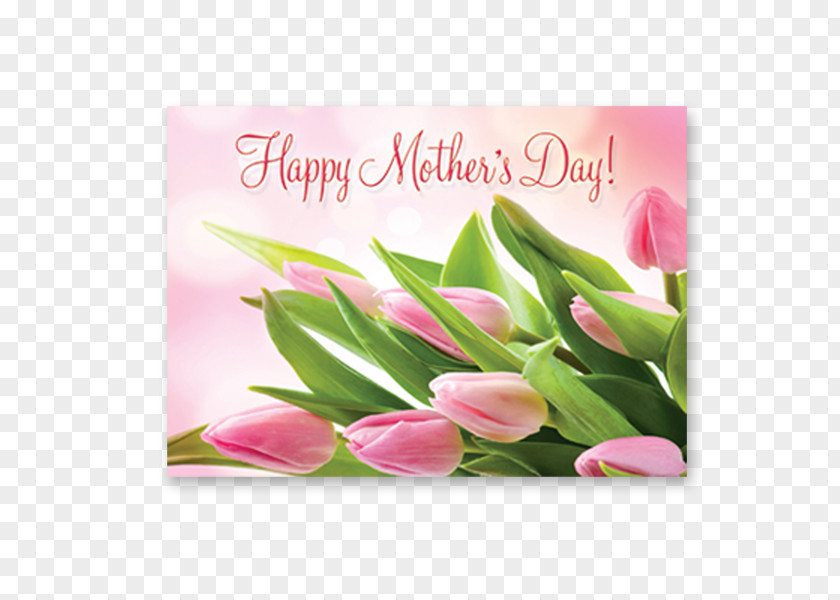 Mother's Day Floral Design Gift Tulip PNG