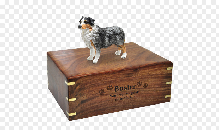 Dog Breed Australian Shepherd Pet Urn Cat PNG