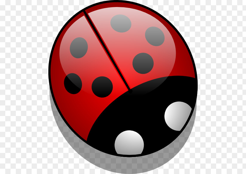 Ladybug Drawings Ladybird Clip Art PNG