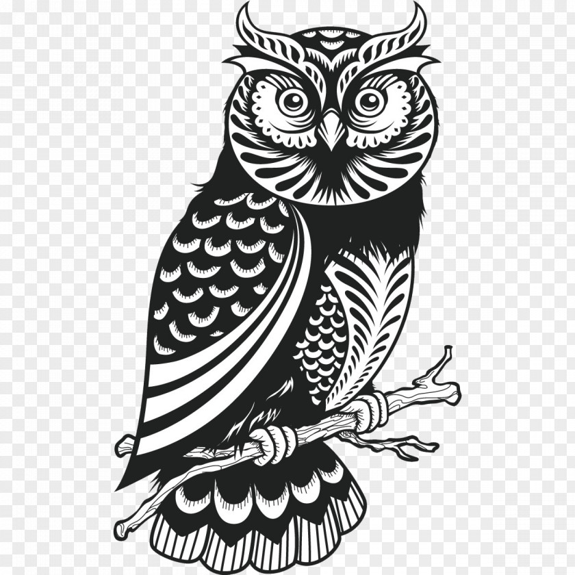 Owls Owl Drawing Royalty-free PNG