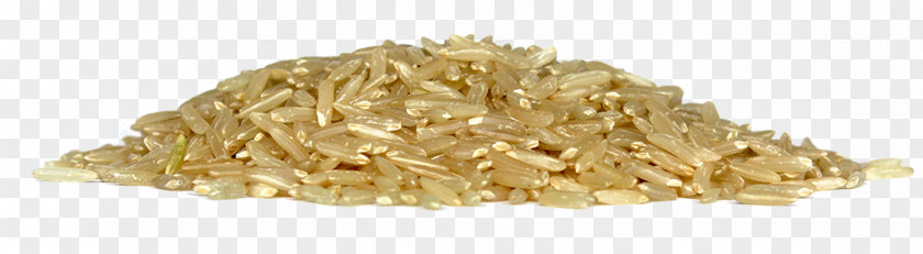 Rice System Of Intensification Grain Nutrition Panini PNG