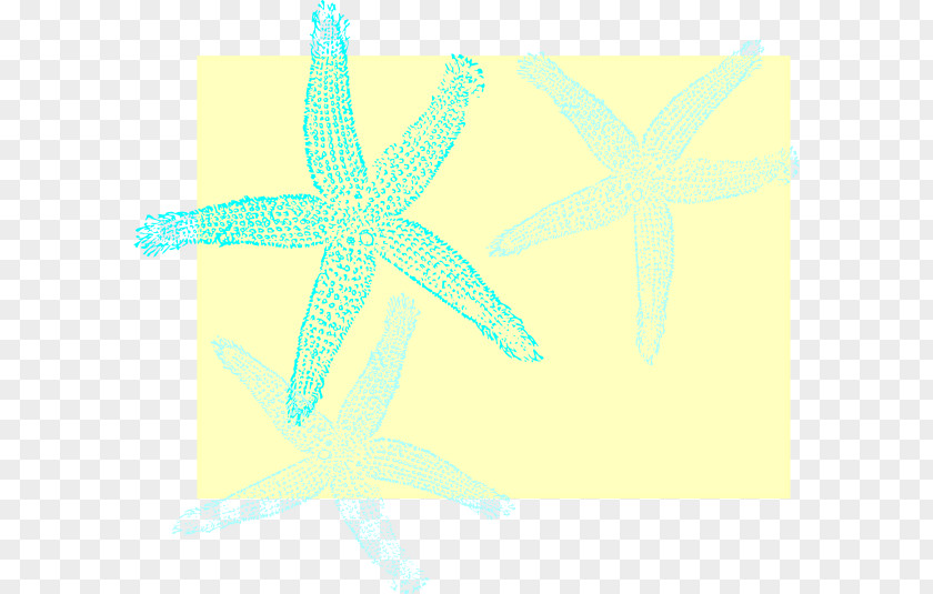 Starfish Desktop Wallpaper Echinoderm Pattern PNG