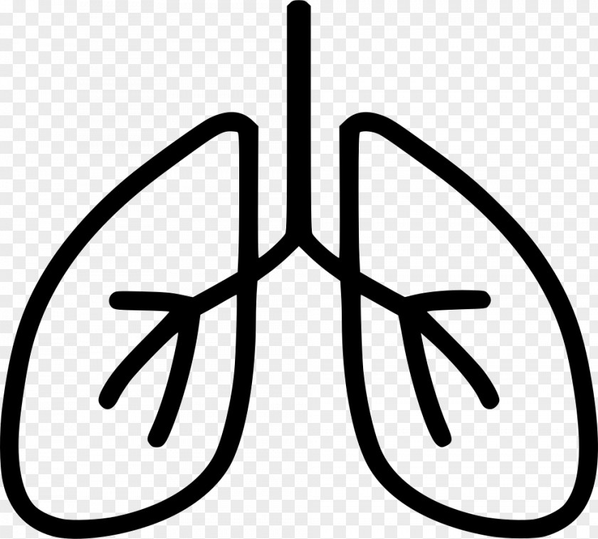 Azven Breathe Lung Diaphragmatic Breathing Exercise Respiratory System PNG