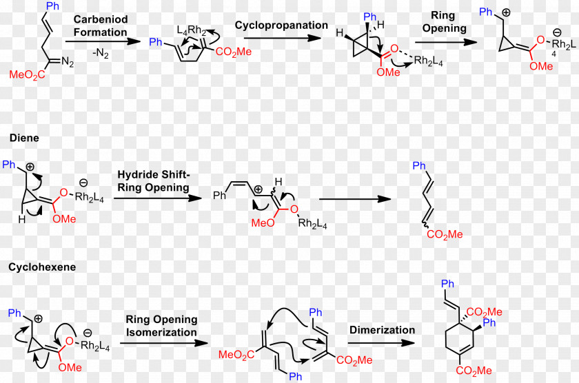 Chemistry Cyclopropanation Rhodium(II) Acetate Chemical Compound Catalysis PNG